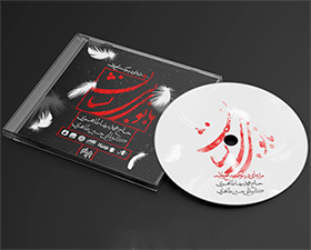 مجموعه بانوی بی نشان